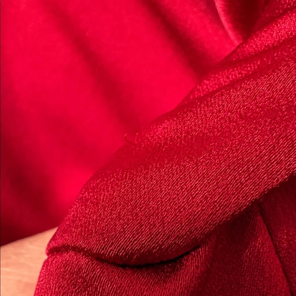 Express Red Dress - Picture 10 of 10